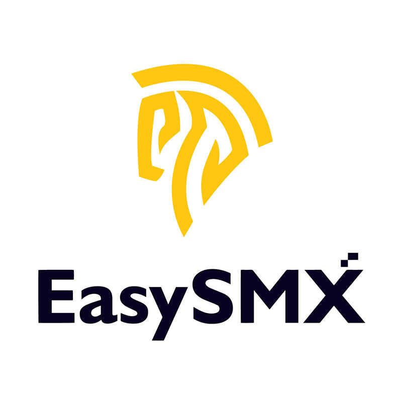 Easysmx Company Logo